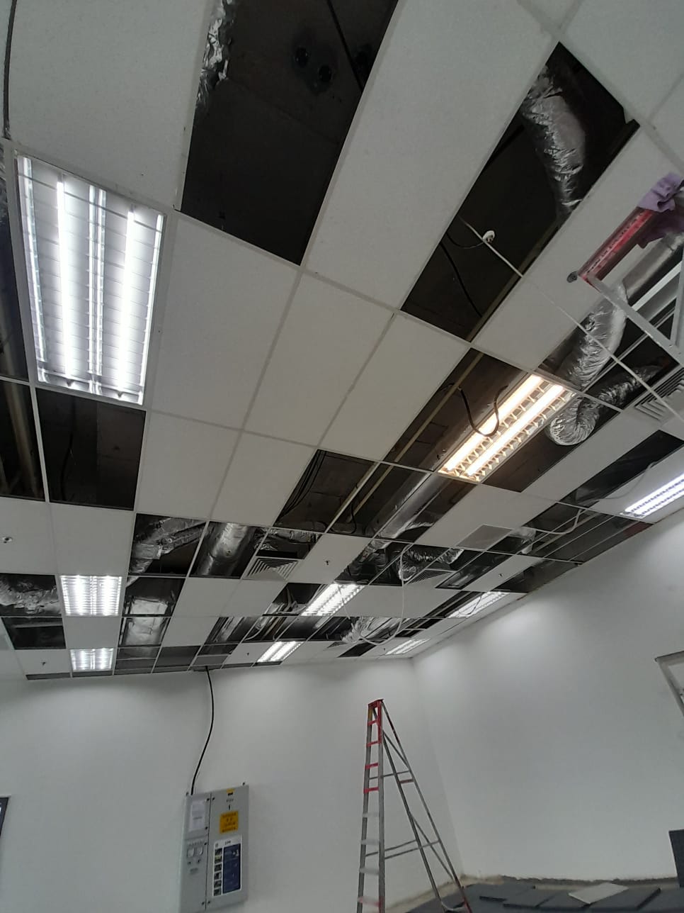 AR Engineering Ceiling Partition Singapore — acoustic ceiling tile grid in a Singapore office