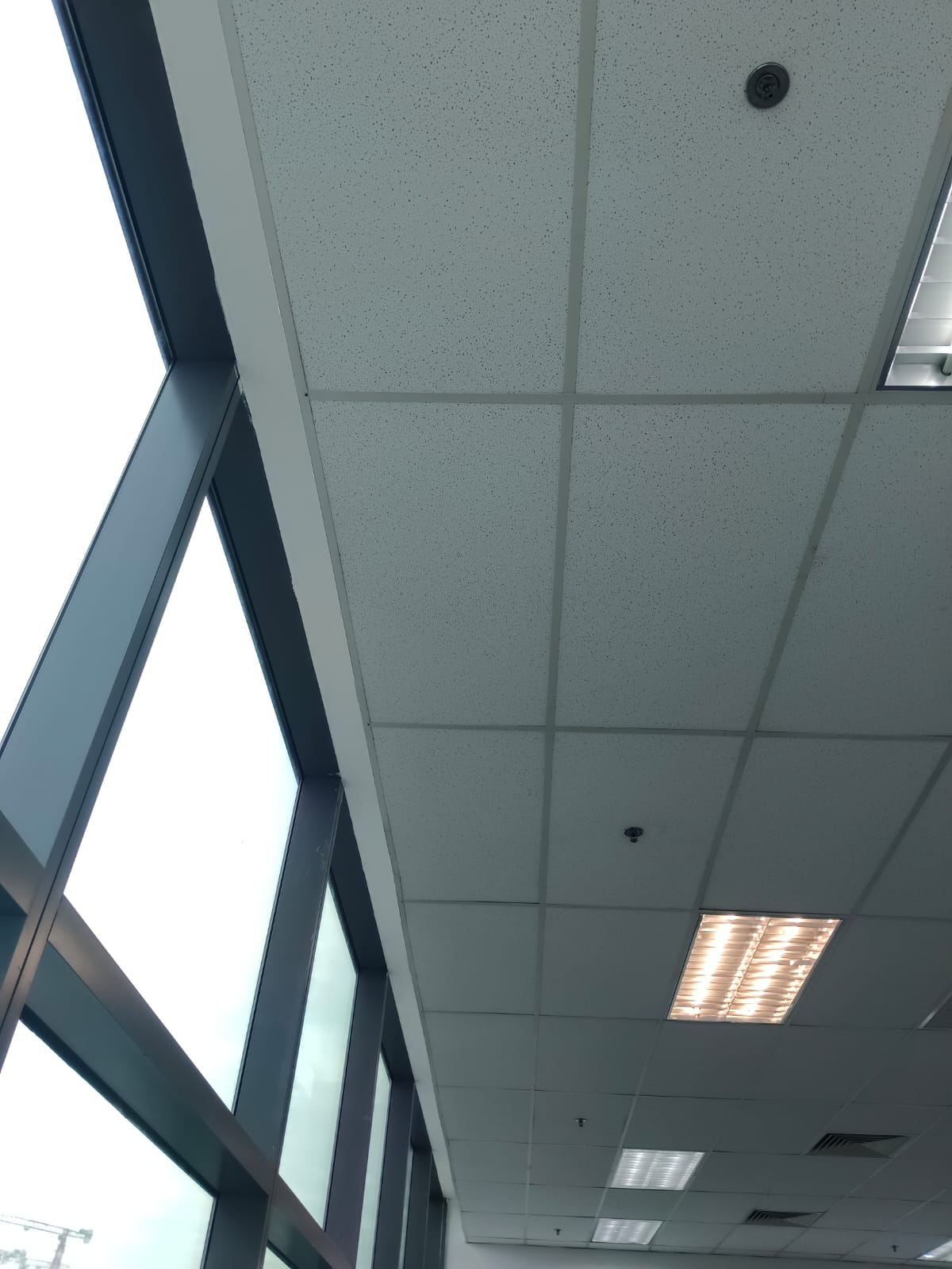 AR Engineering Ceiling Partition Singapore — suspended ceiling installation near full window glazing